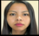 Faculty Member